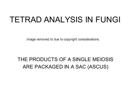 TETRAD ANALYSIS IN FUNGI