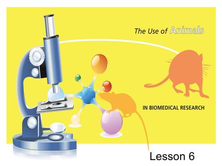 Lesson 6. Learning Topic: Trip preparation Focus Question: If you were the teacher preparing this trip, what guidelines for behavior would you set up?