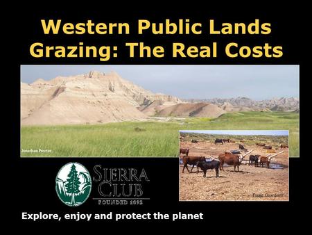 Western Public Lands Grazing: The Real Costs Explore, enjoy and protect the planet Forest Guardians Jonathan Proctor.