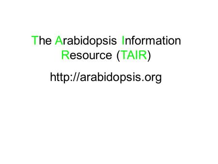 The Arabidopsis Information Resource (TAIR)