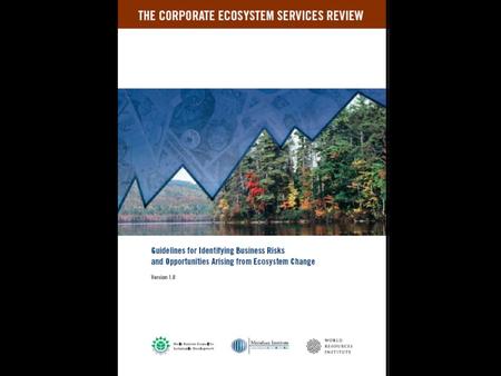 World Resources Institute What do these stories have in common? Companies facing unexpected risks or novel opportunities arising from their dependence.