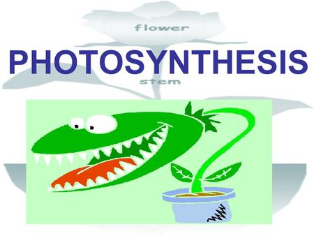 PHOTOSYNTHESIS.