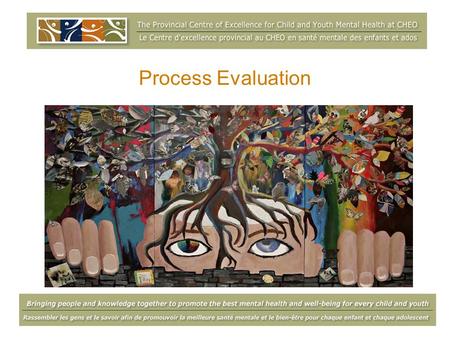 Process Evaluation Susan Kasprzak, March 13, 2009.