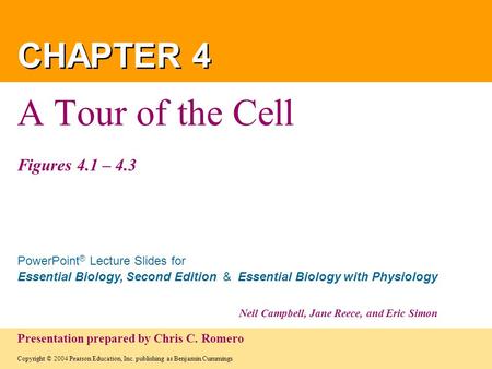 Copyright © 2004 Pearson Education, Inc. publishing as Benjamin Cummings PowerPoint ® Lecture Slides for Essential Biology, Second Edition & Essential.