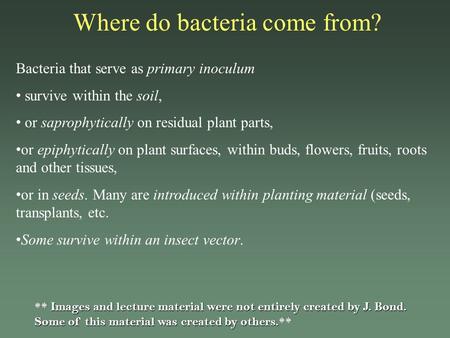 Where do bacteria come from?