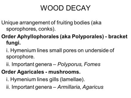 WOOD DECAY Unique arrangement of fruiting bodies (aka sporophores, conks). Order Aphyllophorales (aka Polyporales) - bracket fungi. i. Hymenium lines small.