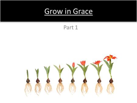 Grow in Grace Part 1. The Christian life begins with a birth –R–Receiving Christ we are born again – Jn 1:12-13 –N–Nicodemus & the new birth – Jn 3:1-13.