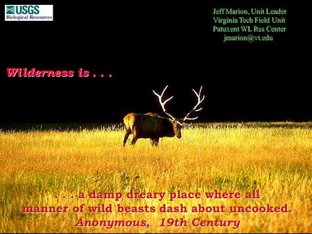 ... a damp dreary place where all manner of wild beasts dash about uncooked. Anonymous, 19th Century Wilderness is... Jeff Marion, Unit Leader Virginia.