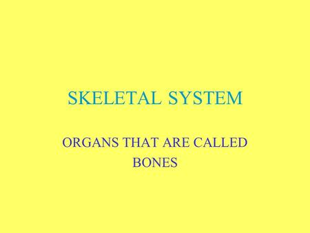 ORGANS THAT ARE CALLED BONES