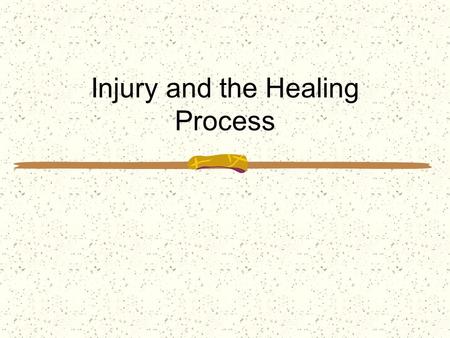 Injury and the Healing Process