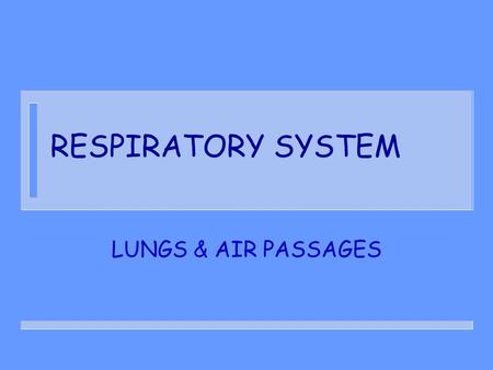 RESPIRATORY SYSTEM LUNGS & AIR PASSAGES.