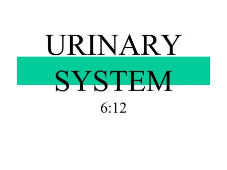 URINARY SYSTEM 6:12.