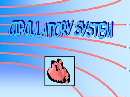 CIRCULATORY SYSTEM.