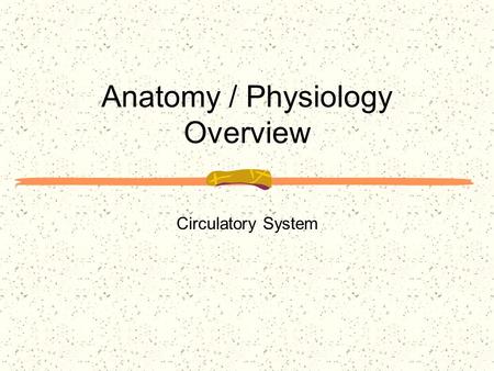 Anatomy / Physiology Overview