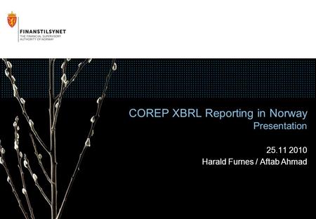 COREP XBRL Reporting in Norway Presentation