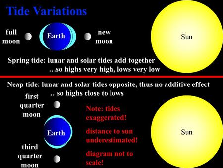 Tide Variations Sun full moon new moon Earth