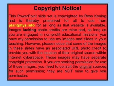 Copyright Notice! This PowerPoint slide set is copyrighted by Ross Koning and is thereby preserved for all to use from plantphys.info for as long as that.