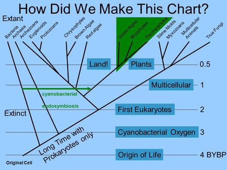 How Did We Make This Chart?