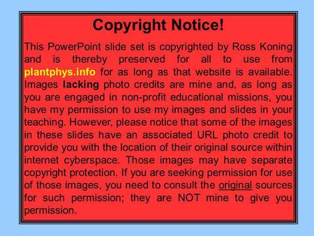 Copyright Notice! This PowerPoint slide set is copyrighted by Ross Koning and is thereby preserved for all to use from plantphys.info for as long as that.