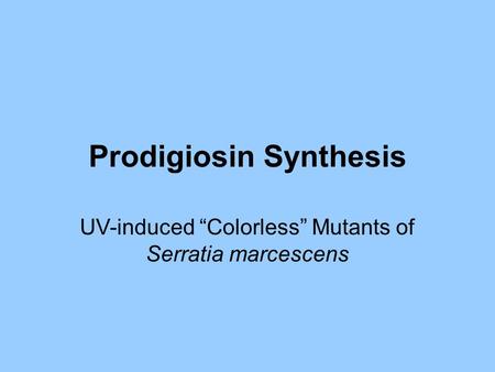 Prodigiosin Synthesis