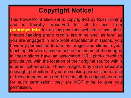 Copyright Notice! This PowerPoint slide set is copyrighted by Ross Koning and is thereby preserved for all to use from plantphys.info for as long as that.