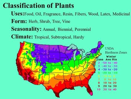 Classification of Plants