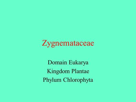 Domain Eukarya Kingdom Plantae Phylum Chlorophyta