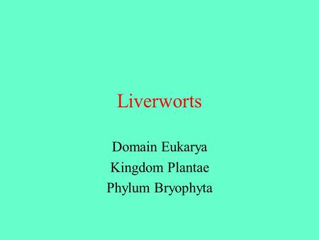 Domain Eukarya Kingdom Plantae Phylum Bryophyta