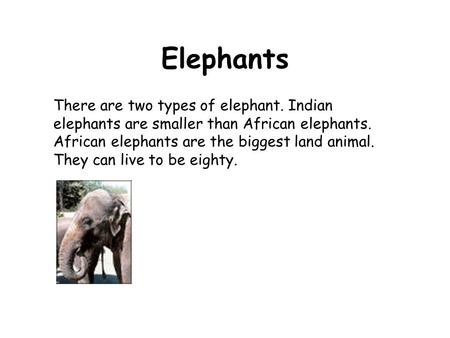 There are two types of elephant. Indian elephants are smaller than African elephants. African elephants are the biggest land animal. They can live to be.