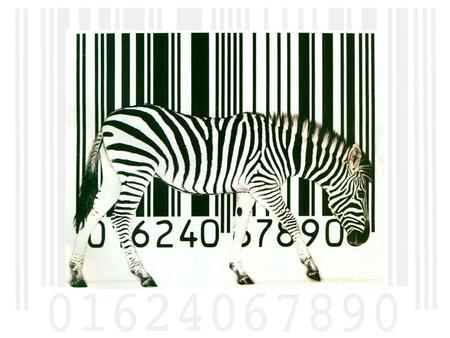 INTRODUCTION Simple & Ambitious! AdvocatesOpposition ID all species Discover new species Speed up IDs Revitalize biological collections Wont work Destroy.