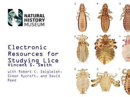 Electronic Resources for Studying Lice Vincent S. Smith with Robert C. Dalgleish, Simon Rycroft, and David Reed.