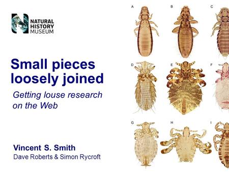 Vincent S. Smith Dave Roberts & Simon Rycroft Small pieces loosely joined Getting louse research on the Web.