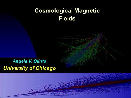 Cosmological Magnetic Fields