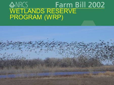 Slide 1 WETLANDS RESERVE PROGRAM (WRP). Slide 2 WRP Key Points Restore and protect functions/values of wetlands in ag landscape Optimize wildlife habitat.