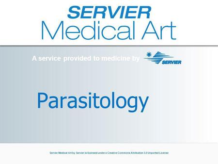 A service provided to medicine by Servier Medical Art by Servier is licensed under a Creative Commons Attribution 3.0 Unported License Parasitology A service.