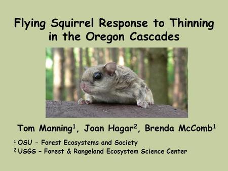 Flying Squirrel Response to Thinning in the Oregon Cascades Tom Manning 1, Joan Hagar 2, Brenda McComb 1 1 OSU - Forest Ecosystems and Society 2 USGS –