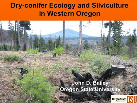 Dry-conifer Ecology and Silviculture in Western Oregon John D. Bailey Oregon State University.