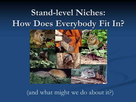 (and what might we do about it?) Stand-level Niches: How Does Everybody Fit In?