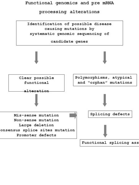 Mis-sense mutation Non-sense mutation Large deletion Consensus splice sites mutation Promoter defects Identification of possible disease causing mutations.