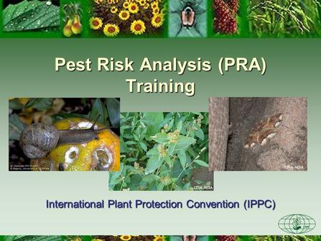 Pest Risk Analysis (PRA) Training