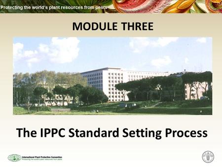 MODULE THREE The IPPC Standard Setting Process. What this Module Covers The 4 stages of the IPPC Standard Setting Process: