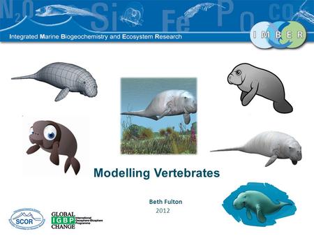 Modelling Vertebrates Beth Fulton 2012. End to End Model.