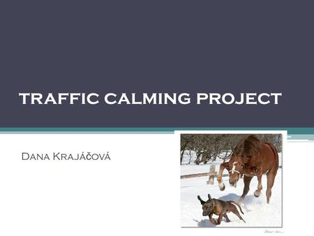 Traffic calming project Dana Krajá č ová. Scheme of Roosevelt street.