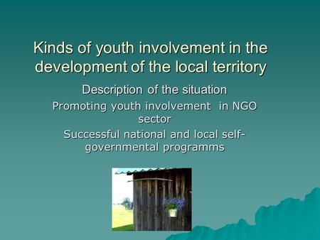 Kinds of youth involvement in the development of the local territory Description of the situation Promoting youth involvement in NGO sector Successful.