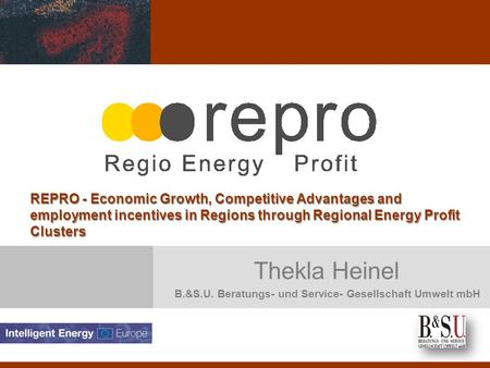 Thekla Heinel B.&S.U. Beratungs- und Service- Gesellschaft Umwelt mbH REPRO - Economic Growth, Competitive Advantages and employment incentives in Regions.