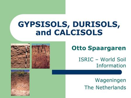 GYPSISOLS, DURISOLS, and CALCISOLS