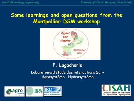 Some learnings and open questions from the Montpellier DSM workshop First DSM working group meeting University of Miskolc, Hungary, 7-8 April, 2005 P.