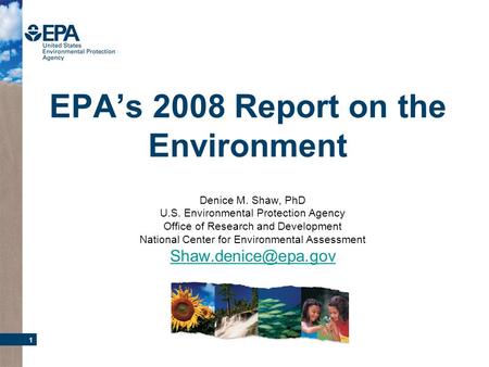 1 EPAs 2008 Report on the Environment Denice M. Shaw, PhD U.S. Environmental Protection Agency Office of Research and Development National Center for Environmental.