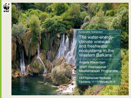 E EEA Hydropower Workshop Lljubljana, 11-13 February 2013 The water-energy- climate «nexus» and freshwater ecosystems in the Western Balkans Angela Klauschen.