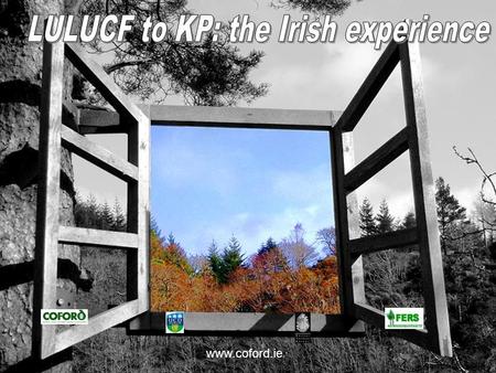 Www.coford.ie. Overview Submitted KP (3.3) tables in April 2007 Submitted KP (3.3) tables in April 2007 National system National system Disaggregating.